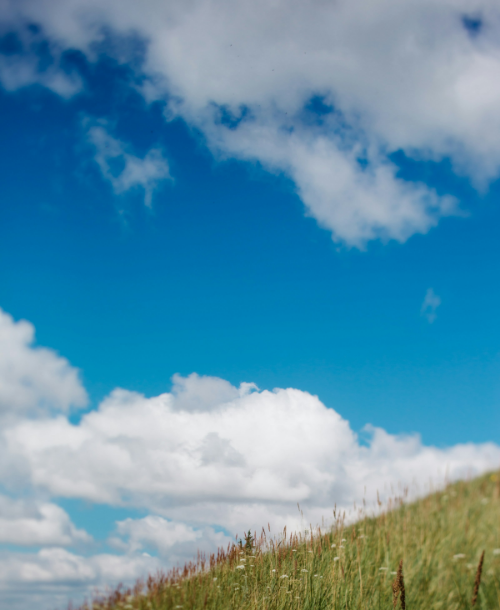 アンドヘルス始動します！
